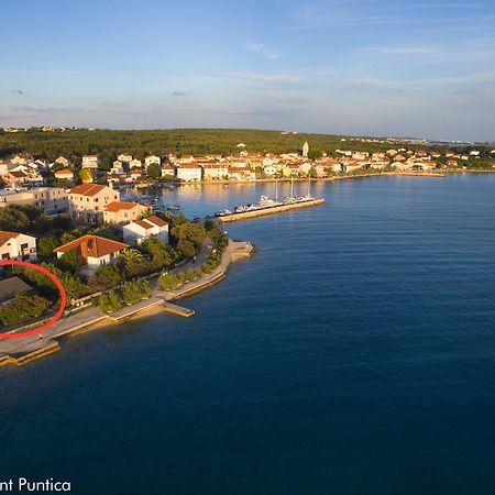 Apartment Puntica Петрчане Экстерьер фото