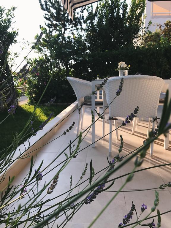 Apartment Puntica Петрчане Экстерьер фото