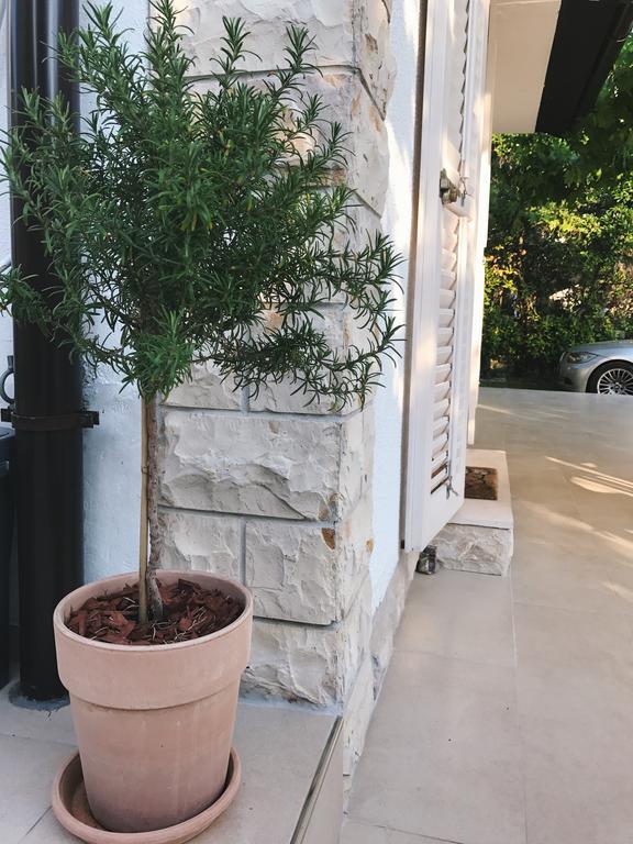 Apartment Puntica Петрчане Экстерьер фото